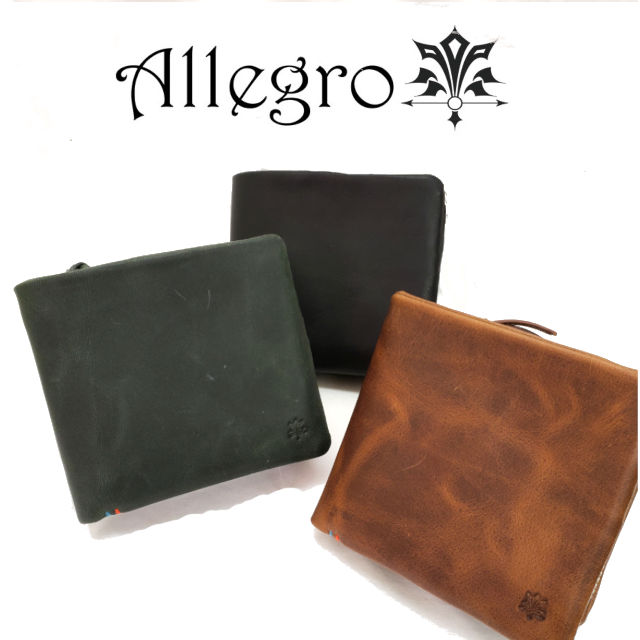 Allegro AO 03984+ Y ܂z vz {v KL J[h RpNg v[g Mtg  O[ F 