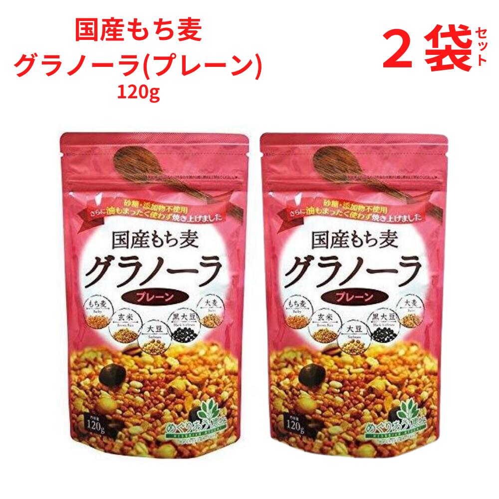 グラノーラ 国産もち麦グラノーラ 120g 砂糖・添加物不使用 小川生薬 【2袋セット】