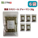 カモミール ジャーマン ハーブティー 国産 熊本県産 農薬不使用 20g 巣鴨のお茶屋さん 山年園 6袋セット