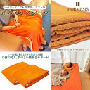 ホルミシスシーツ 100×200cm ホルミシス効果 岩盤浴 プラスケア正規品 タオルケット 温泉 天恵石鹸 ヒートマット 敷きタイプ 鉱石 ラジウム ギフト ...