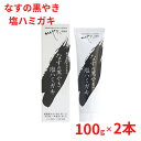 なすの黒焼き 歯磨き なすの黒やき塩ハミガキ 口臭予防 歯茎のひきしめ 天日塩 炭 ナチュラル 歯垢除去 合成界面活性剤不使用 防腐剤不使用 自然派歯磨き 歯の...