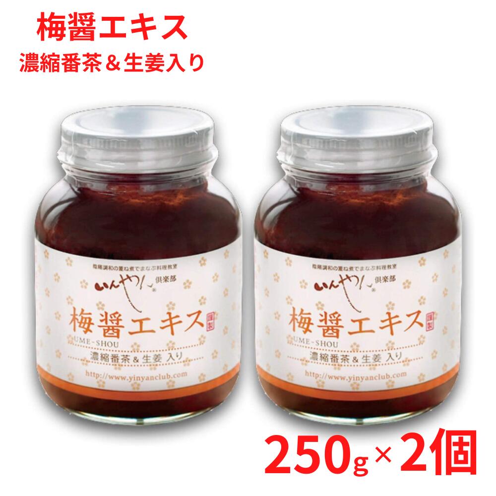 梅醤エキス 濃縮番茶＆生姜入り 250g 【国内産有機梅干】【天然醸造醤油使用】【2個セット】