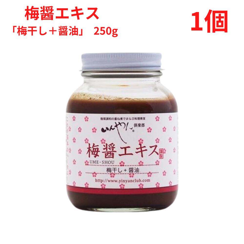 梅醤エキス 梅干し+醤油 250g いんやん倶楽部