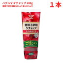 ハグルマ 糖類不使用ケチャップ 285g