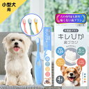 犬 歯ブラシ 歯みがき 送料無料 犬の専門家推奨