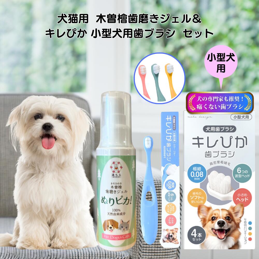 犬 歯みがき デンタルケアセット 犬猫用 木曽檜歯磨きジェル ぬりピカ! 80g× 小型犬用歯ブラシ 4本セット キレぴか 歯磨きジェル&歯ブラシセット 口腔ケ...