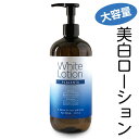 美白化粧水 薬用 シミ しみ そばかす 大容量500mL☆プラセンタ/医薬部外品/ピエナプラ薬用化粧水