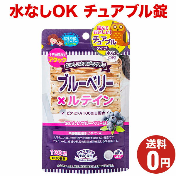【おいしいお手軽サプリ ブルーベリー×ルテイン】おまとめ割引2袋・3袋セットあります！1袋あたり120粒..
