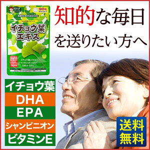 【イチョウ葉エキス】90粒一ヶ月分/ジャパンギャルズ/生活習慣サポート/DHA&EPA/ビタミンE/中高年/シニア/物忘れ