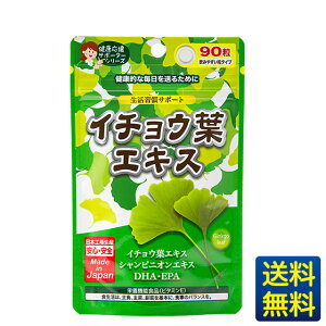 【イチョウ葉エキス】90粒一ヶ月分/ジャパンギャルズ/生活習慣サポート/DHA&EPA/ビタミンE/中高年/シニア/物忘れ