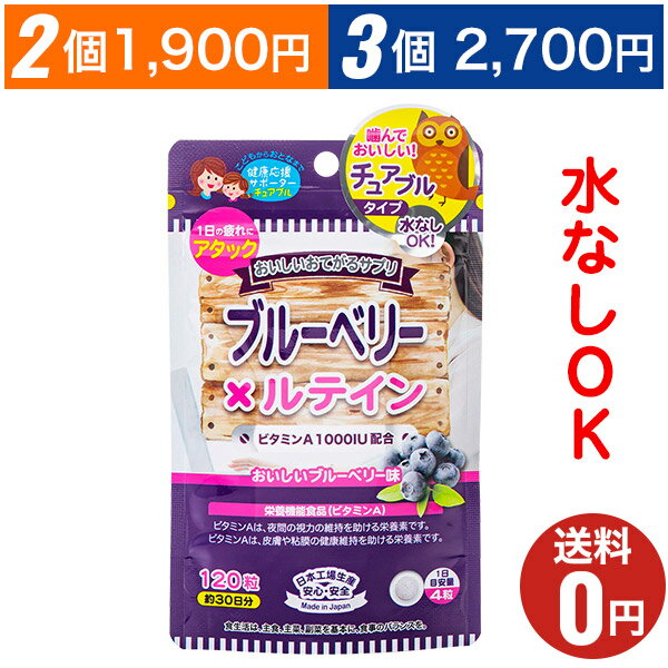 【おいしいお手軽サプリ ブルーベリー×ルテイン】おまとめ割引2袋・3袋セットあります！1袋あたり120粒30日分/ジャパンギャルズ/栄養機能食品/ビタミンA/疲れ目/おやつサプリメント/スマホPC新聞よく見る子供から大人まで/ブルーベリー味 1