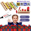 厚労省認定 モンテッソーリ おもちゃ 玩具 知育玩具 円柱さし 木製 パズル オモチャ 幼児 教育 1歳 2歳 3歳 4歳 5歳 子供 孫 誕生日 クリスマス プレゼント ギフト 贈り物 内祝い 出産祝い おうち遊び 積み木 立体パズル 男の子 女の子 ETETOYS