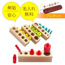 【6月決算祭り!P2倍!】【厚労省認定】【モンテッソーリ】円柱差し 知育玩具 おもちゃ 玩具 木製 天然ブナの木 パズル オモチャ 幼児 教育 1歳 2歳 3歳 子供 孫 誕生 選べるカラーバリエーション「つまんでぽん」