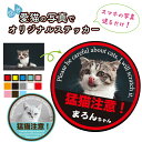 名入れ写真入りステッカー (猛猫注意!) 簡単 お手軽 オーダー うちの子 オリジナルシール オリジナルステッカー 名入れ 名前入れ 名前 写真 写真入り ステ...