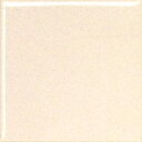 NP-1065/21 リベイナ100角 両面取