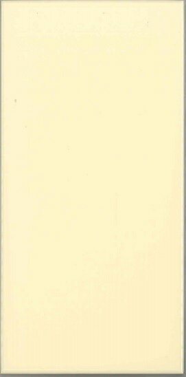 INAX ペアリイナ グレイスシリーズ 200×100角(10枚セット)PR-210/461