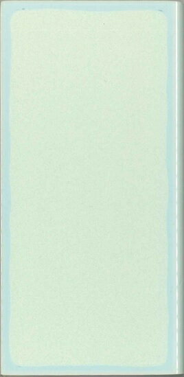 INAX　ペアリイナ 花シリーズC 200×100mm角片面取(右)（5枚セット）PR-2160/444(R)(4)