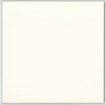 SP-1560/L21【5枚セット】(KD) ミスティ150 ブライト釉 片面取