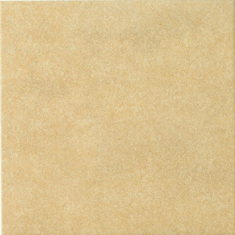 コンテ2 300角平　土もの調5枚セット　IPF-300/CON-9