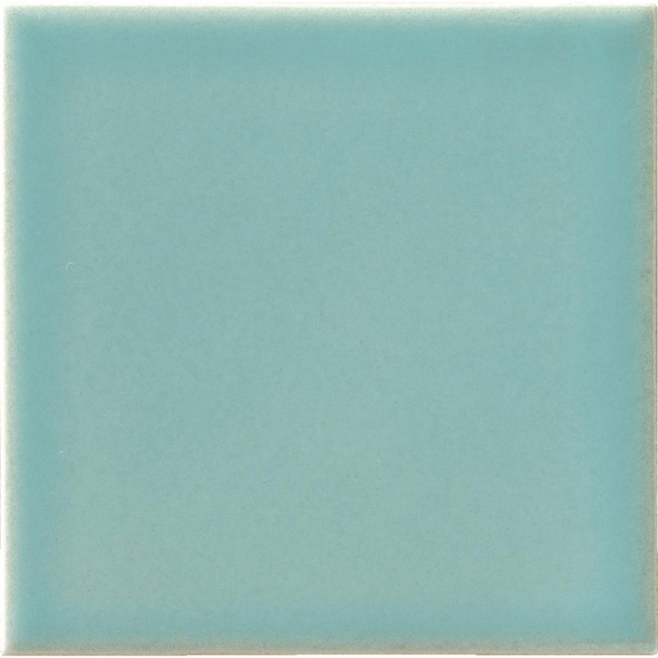 ̾Ų⥶ ץ졡100ʿ΢ͥåŽCYP-100F-80[Х]