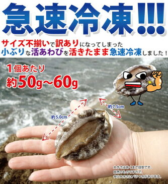 あわび 1個50〜60g × 5個 セット お刺身もOK 送料無料 アワビ 鮑 海鮮セット 海鮮鍋 セット 海鮮グルメ 海鮮おせち 海鮮丼 おせち バーベキュー 海鮮 バーベキュー【冷凍】