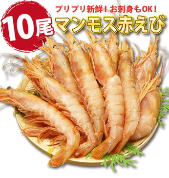 海鮮 バーベキューセット 3種 送料無料 福袋 赤エビ 10尾 ＆ ホタテ 10枚 ＆ あわび 5個 海鮮セット 海鮮鍋 セット 海鮮グルメ 海鮮おせち 海鮮丼 おせち 海鮮バーベキューセット 海鮮BBQセット【冷凍】