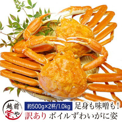 【月間優良ショップ受賞】 ボイル ズワイガニ 姿 1.0kg（500g×2杯) カナダ産 かに カニ 海鮮鍋 セット 鍋セット【冷凍】カニ専門店 送料無料 カニ かにみそ かに鍋 カニしゃぶ 蟹焼き ギフト 贈り物 お誕生日 内祝 内祝い 御祝 プレゼント 贈答