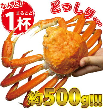 かに カニ 500g（1杯) ボイル ずわいがに 姿【冷凍】 カニ専門店 3杯以上送料無料