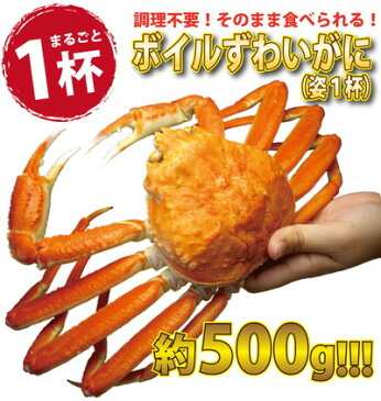 ボイル ズワイガニ 姿 1.2kg（600g×2杯) かに カニ【冷凍】 カニ専門店 送料無料 ギフト/贈答/内祝/お祝い/御礼/誕生日/プレゼント