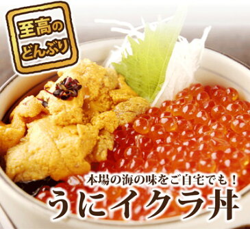 海の宝箱 海鮮 2種 セット 送料無料【冷凍】生うに ウニ 100g×2 & いくら イクラ 醤油漬け 250g×1 ギフト/贈答/内祝/お祝い/御礼/誕生日/プレゼント