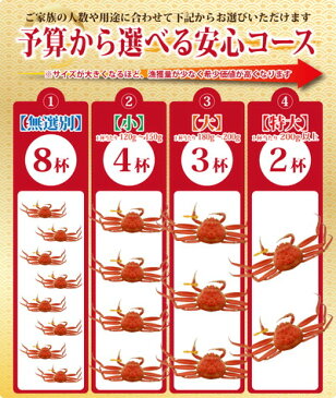 【11月20日までのお届け20％割引⇒12,000円】早期予約特典付き 越前カニ 1万5千円コース（1杯・2杯・3杯・4杯・8杯）送料無料【冷蔵】せいこがに/セイコガニ/カニ/かに/蟹/香箱ガニ/ギフト 越前かに 越前ガニ 越前がに カニ専門店 注文は12月21日まで！ 熨斗 カード 化粧箱