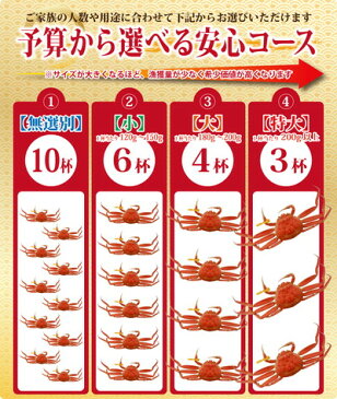 【11月20日までのお届け20％割引⇒16,000円】早期予約特典付き 越前カニ 2万円コース（3杯・4杯・6杯・10杯）送料無料【冷蔵】せいこがに/セイコガニ/カニ/かに/蟹/ギフト/香箱ガニ 越前かに 越前ガニ 越前がに カニ専門店 注文は12月21日まで！ 熨斗 カード 化粧箱