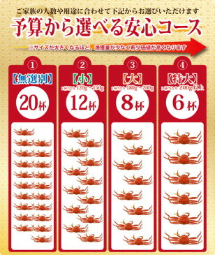 【11月20日までのお届け20％割引⇒28,000円】早期予約特典付き 越前カニ 3万5千円コース（6杯・8杯・12杯・20杯）送料無料【冷蔵】せいこがに/セイコガニ/カニ/かに/蟹/香箱ガニ ギフト 越前かに 越前ガニ 越前がに カニ専門店 注文は12月21日まで！ 熨斗 カード 化粧箱