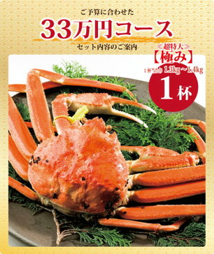 【11月20日までのお届け20％割引⇒184,000円】早期予約特典付き 越前カニ ズワイガニ 23万円コース（1杯・極）送料無料【冷蔵】ずわいがに/カニ/かに/蟹ギフト 越前かに 越前ガニ 越前がに カニ専門店 熨斗 カード 化粧箱