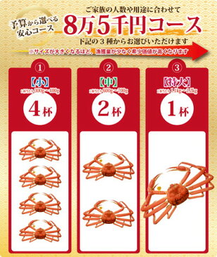 【11月20日までのお届け20％割引⇒52,000円】早期予約特典付き 越前カニ 6万5千円コース （1杯・2杯・4杯）送料無料【冷蔵】ずわいがに/カニ/かに/蟹ギフト 越前かに 越前ガニ 越前がに カニ専門店 熨斗 カード 化粧箱