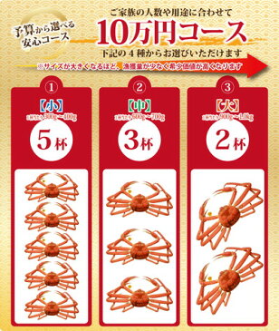 【11月20日までのお届け20％割引⇒64,000円】早期予約特典付き 越前カニ ズワイガニ 8万円コース（1杯・2杯・3杯・5杯）送料無料【冷蔵】ずわいがに/カニ/かに/蟹ギフト 越前かに 越前ガニ 越前がに カニ専門店 熨斗 カード 化粧箱