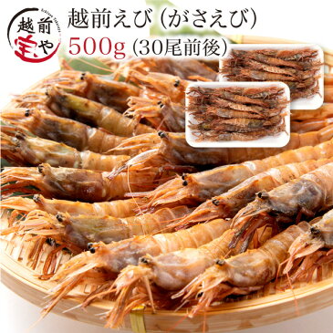 がさえび/がすえび 刺身用 越前産 500g 送料無料【冷凍】【あす楽】えび/エビ/海老 ギフト/贈答 /プレゼント