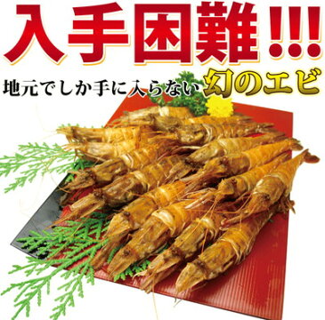 がさえび/がすえび 刺身用 250g 越前産【冷凍】【あす楽】【4セット以上 送料無料】 ギフト 贈答 内祝 お祝い 御礼 誕生日 プレゼント