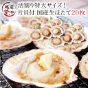 商品画像:おせち2025予約 ホタテ 20枚入 送料無料 片貝 殻付き ウロ(中腸腺)処理済み バーベキュー BBQ パーティー 海鮮セット 海鮮鍋 セット 海鮮グルメ 海鮮おせち 海鮮丼 おせち 【冷凍】
