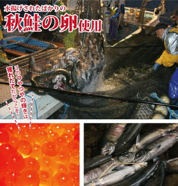 ブランド いくら 1kg /イクラ/いくら醤油漬け【送料無料】イクラ醤油漬け/北海道産 笹谷商店【冷凍】ギフト/贈答/内祝/お祝い/御礼/誕生日/プレゼント