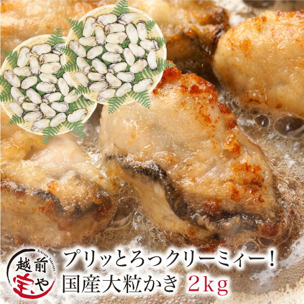 ★月間優良ショップ受賞★ 大粒 かき カキ 牡蠣 2.0kg(60粒前後入)L・2Lサイズ/広島産【冷凍】 送料無料