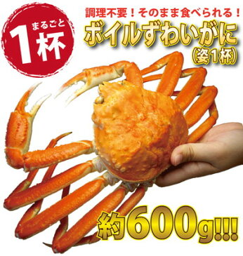 カニ かに 生ポーション かにしゃぶ 鍋 500g/ボイル 姿600g セット【冷凍】送料無料 カニ専門店 ギフト/贈答/内祝/お祝い/御礼/誕生日/プレゼント 贈り物 贈答品 贈答用 ギフト 熨斗 カード 化粧箱