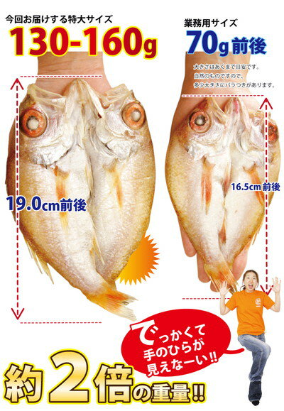 ★月間優良ショップ受賞★ ギフト プレゼント のどぐろ 一夜干し 130-160g×8尾入 高級魚 干物 ノドグロ のど黒 アカムツ 無添加 【冷凍】干物セット 1位 魚 詰め合わせ 内祝い 内祝 お返し 出産 ギフトセット お誕生日 お祝い 還暦祝い 送料無料