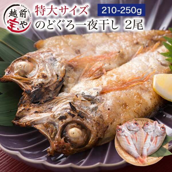 ★月間優良ショップ受賞★ ギフト プレゼント のどぐろ 一夜干し 210-250g×2尾入 高級魚 干物 ノドグロ のど黒 アカムツ 無添加 【冷凍】干物セット 1位 魚 詰め合わせ 内祝い 内祝 お返し 出産 ギフトセット お誕生日 お祝い 送料無料