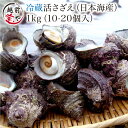 【月間優良ショップ受賞】 活 サザエ 送料無料 1.0kg (約10〜20個)セット【冷蔵】さざえ バーベキュー 刺身 壺焼き …