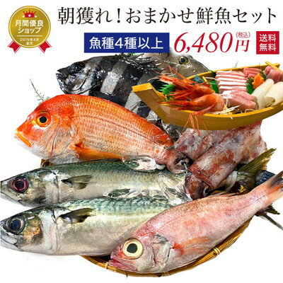 鮮魚 おまかせ 4種以上 魚 詰め合わせ 送料無料【冷蔵】舟盛り容器同梱可 セット ボックス 国産 直送 干物作り 干物体験 手作り干物 冷蔵庫干し 陰干し 生鮮 魚介 生魚 活魚 干物 一夜干し 刺身 寿司 煮付け あら汁 塩焼き カルパッチョ しゃぶしゃぶ 宝や