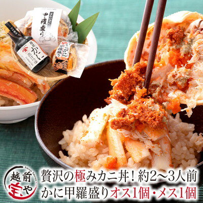 父の日 ギフト ★月間優良ショップ受賞★ カニ丼 食べ比べ 甲羅盛り 香箱ガニ セイコガニ 1個 ズワイガニ (カナダ産) 出汁つゆ セット 干しのり おまけ付 約2-3人前 香箱 香箱かに  ずわいがに せいこがに ズワイ 食べ物 魚