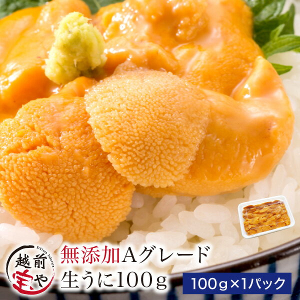 ★月間優良ショップ受賞★ 生食用 うに 無添加・Aグレード 100g 送料無料【冷凍】ウニ 雲丹 ギフト 贈答 内祝 お祝い 御礼 誕生日 プレゼント