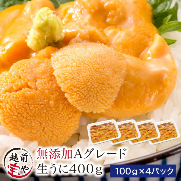 生食用 うに 無添加・Aグレード 400g 送料無料【冷凍】 ギフト/贈答/内祝/お祝い/御礼/誕生日/プレゼント