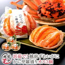 ★月間優良ショップ受賞★ 越前ガニ ずわいがに 甲羅盛り 3個セット 送料無料 ズワイガニ カニ かに 蟹 【冷凍】 ギフト 越前かに カニ専門店 贈答 内祝 ...